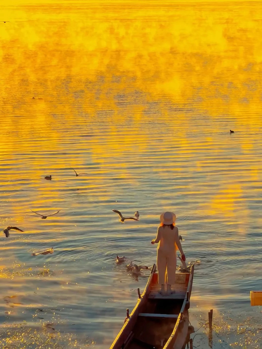 云南旅游,云南旅行社,云南團(tuán)建公司,云南策劃公司,云南會議會展,云南旅游地接,麗江旅游,麗江旅行社,麗江團(tuán)建公司,麗江策劃公司,麗江會議會展,麗江策劃執(zhí)行：大實話！秋天的瀘沽湖才是人間理想…