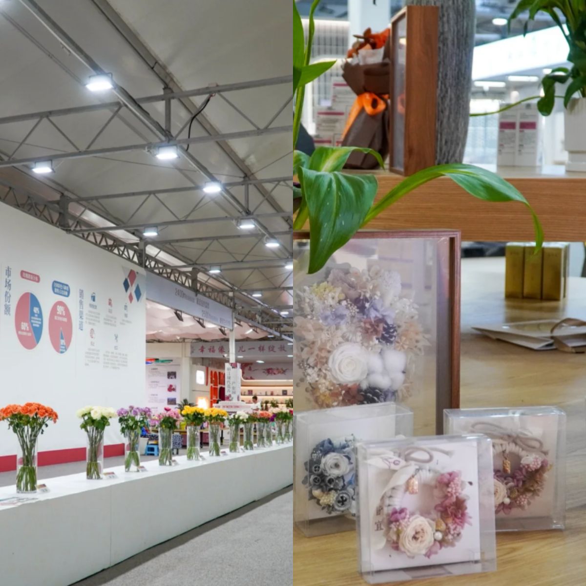 云南旅游,云南旅行社,云南團(tuán)建公司,云南策劃公司,云南會議會展,麗江旅行社,麗江團(tuán)建公司,麗江策劃公司,麗江會議會展,麗江策劃執(zhí)行：走進(jìn)“麗江de花”，與“中國最好的玫瑰”’共赴一場浪漫至極